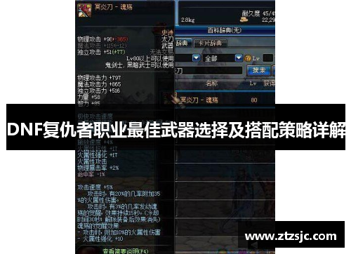 DNF复仇者职业最佳武器选择及搭配策略详解